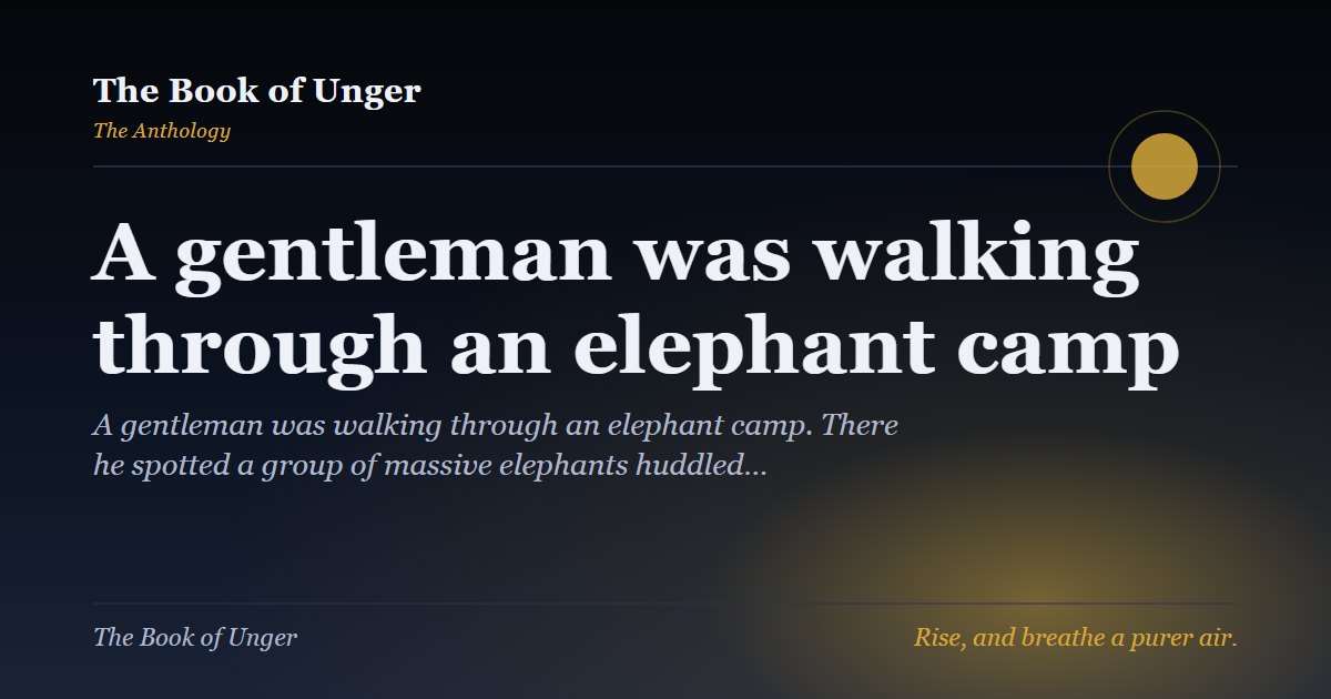 A gentleman was walking through an elephant camp