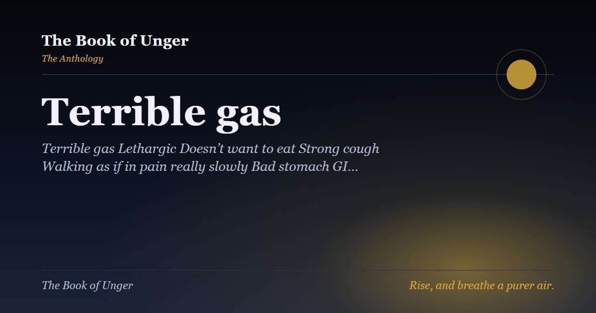 Terrible gas