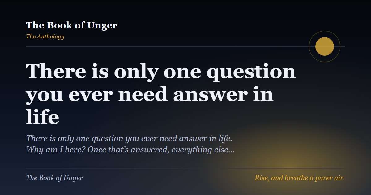 There is only one question you ever need answer in life
